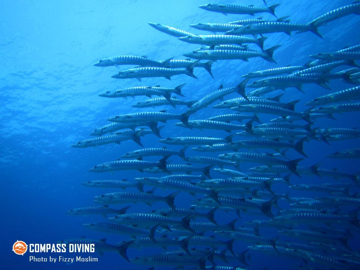 Compass Diving Resort Beloi エクステリア 写真