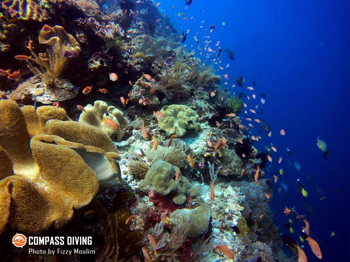 Compass Diving Resort Beloi エクステリア 写真